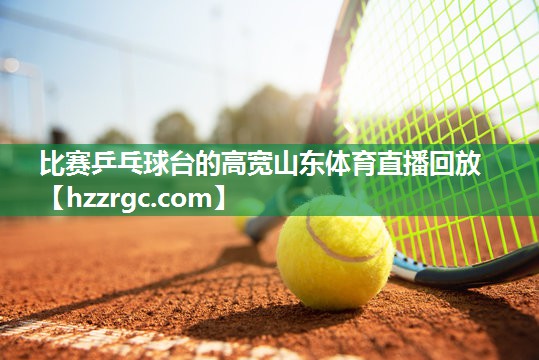 比赛乒乓球台的高宽山东体育直播回放