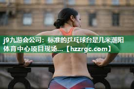j9九游会公司：标准的乒乓球台是几米潮阳体育中心项目现场…