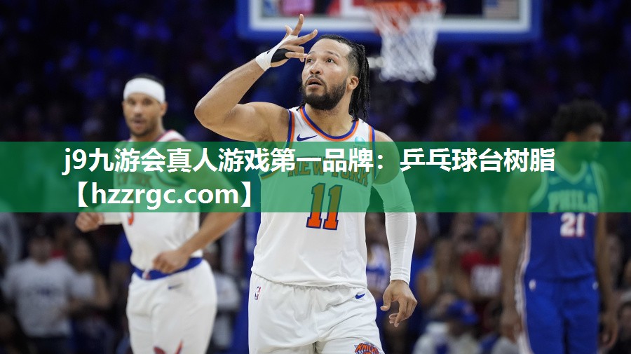 乒乓球台树脂 乒乓球台树脂