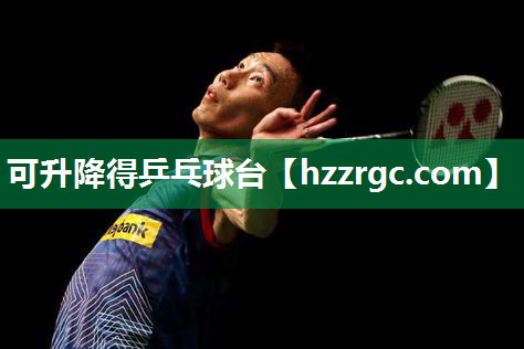 可升降得乒乓球台 可升降得乒乓球台